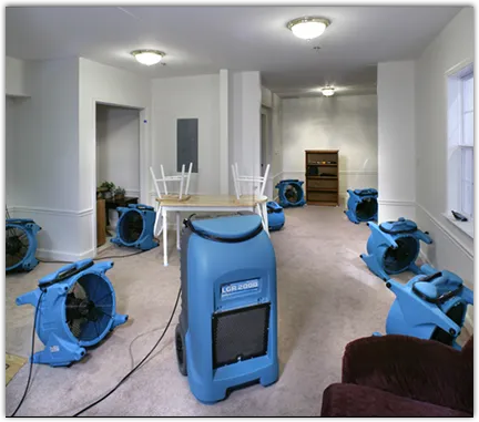Water Mitigation Services in Hillsboro, OH